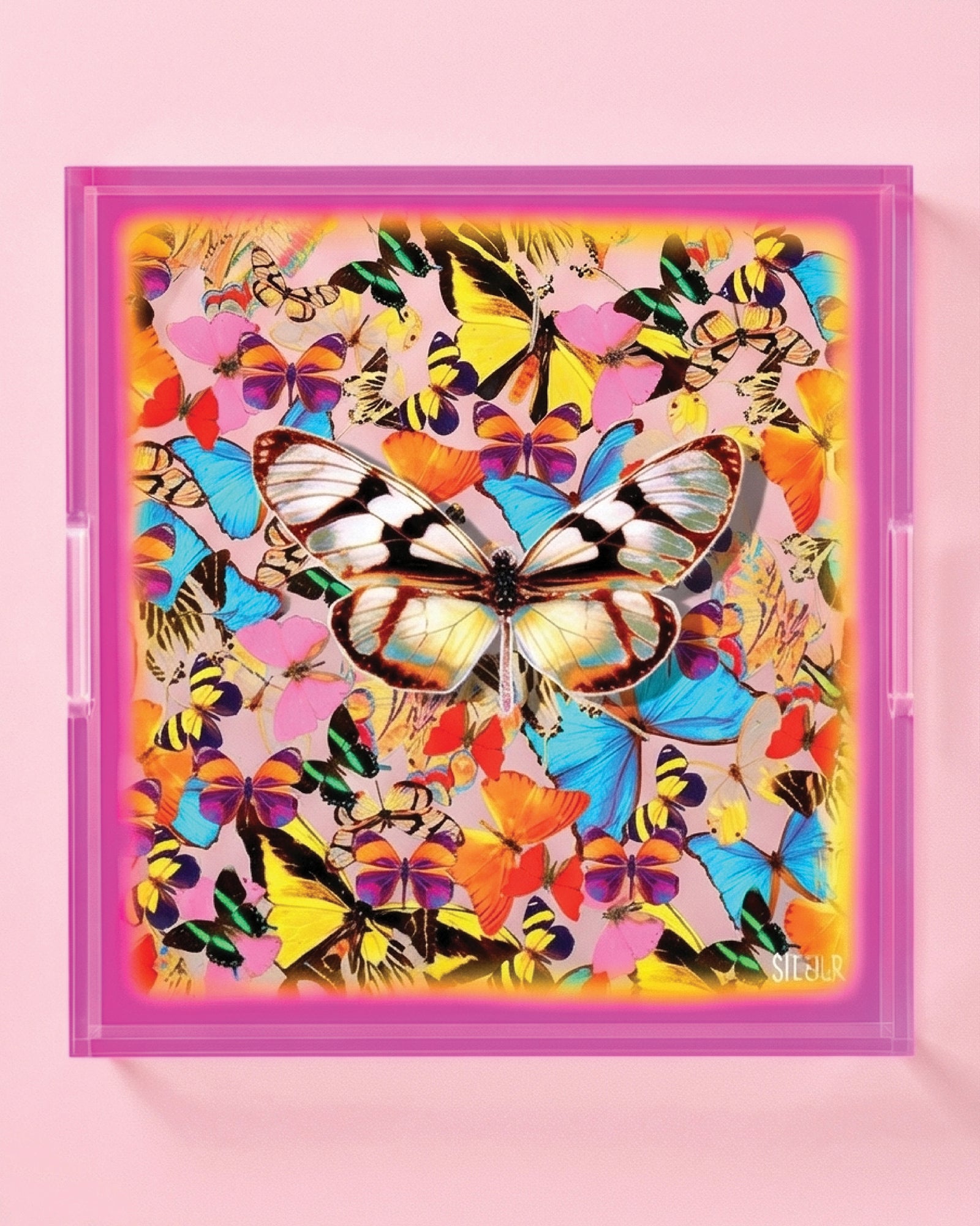 Temptations Garden by David Stesner ArtHouse — multicolor purple square acrylic trays, full product view