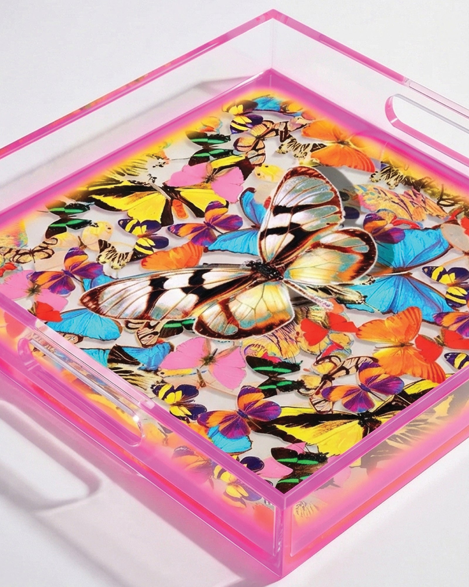 Temptations Garden by David Stesner ArtHouse — multicolor purple square acrylic trays, additional detail