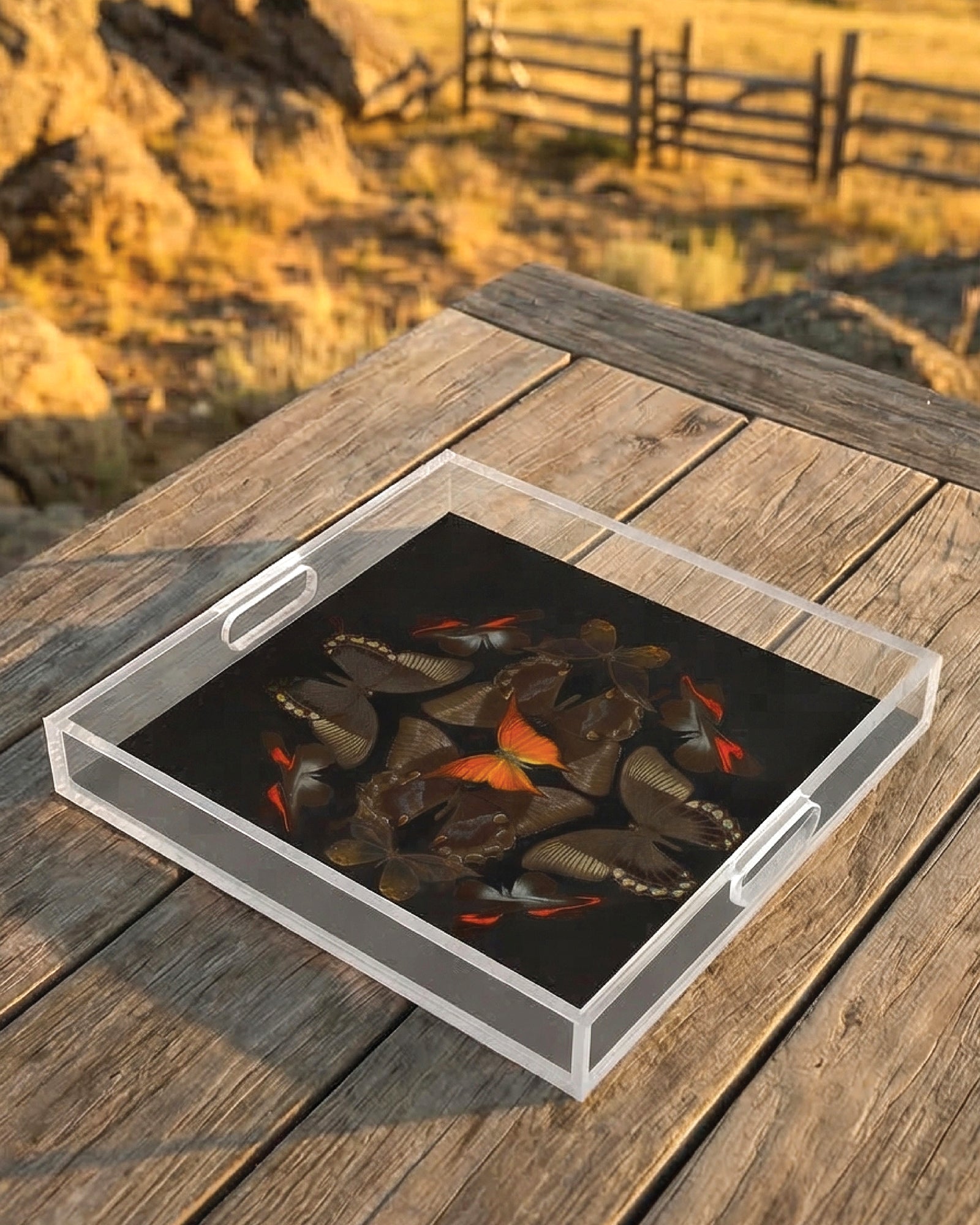 Troubled Minds by David Stesner ArtHouse — multicolor navy square acrylic trays, styled view