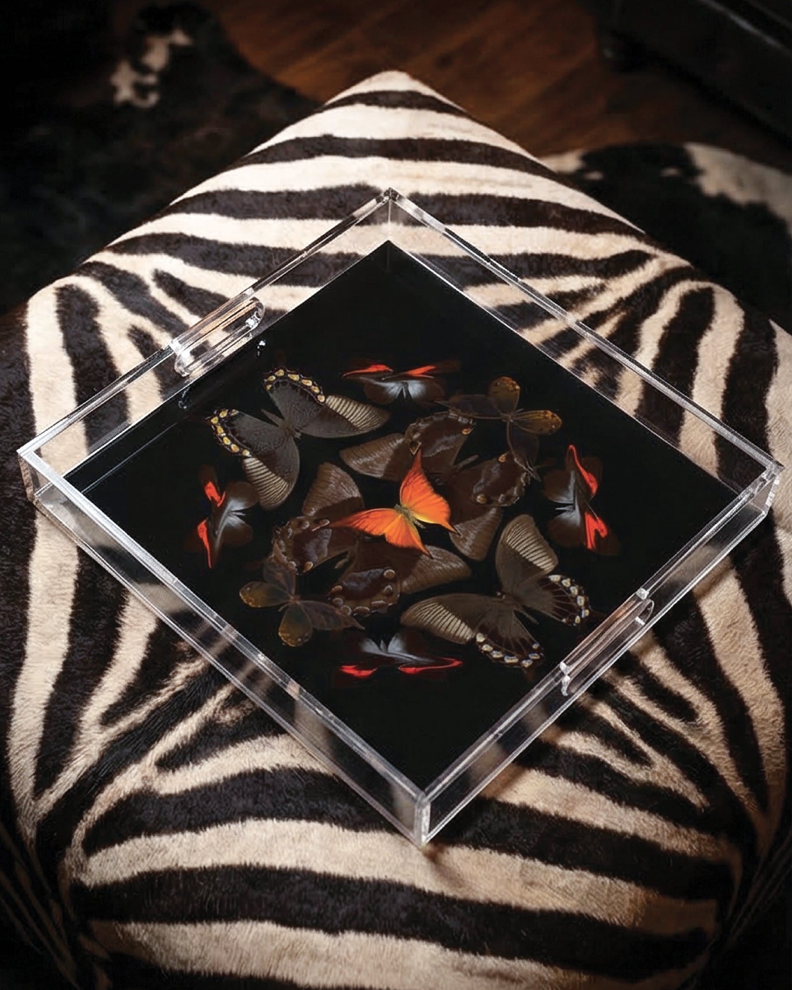 Troubled Minds by David Stesner ArtHouse — multicolor navy square acrylic trays, additional detail